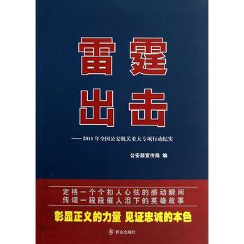 雷霆出击(2012年群众出版社出版的图书)