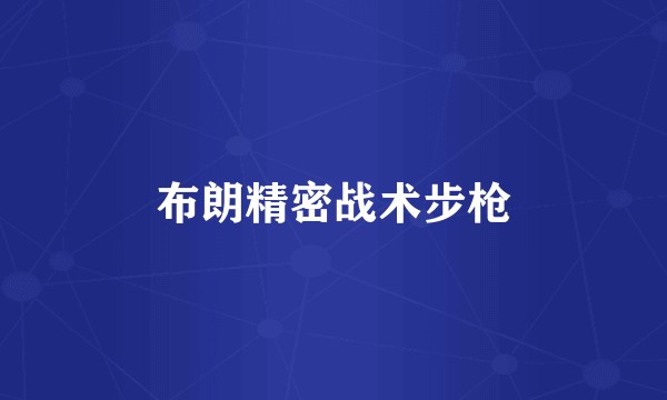 布朗精密战术步枪