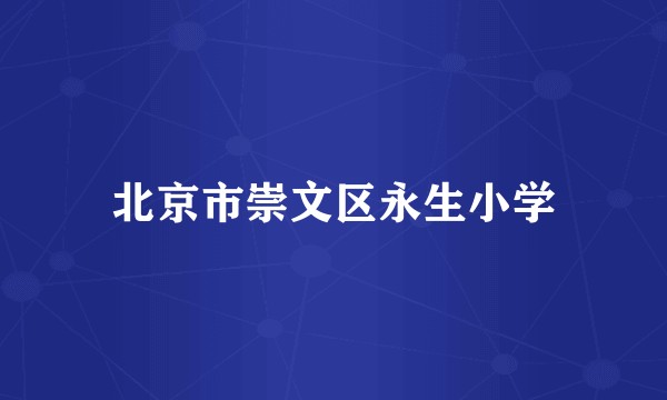 北京市崇文区永生小学