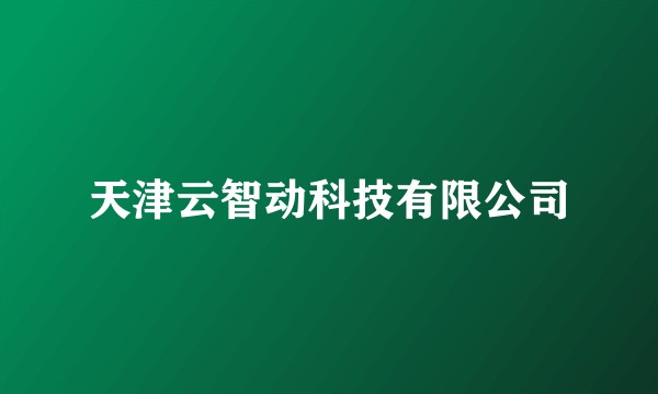 天津云智动科技有限公司