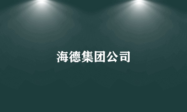 海德集团公司