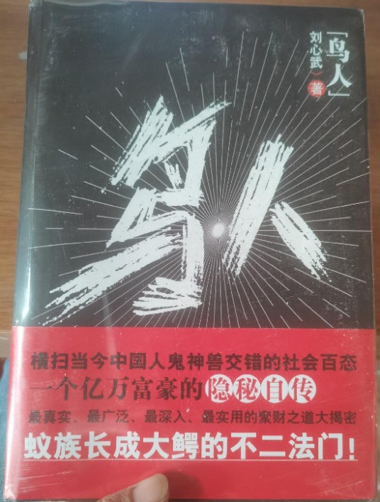 鸟人（2010年花城出版社出版的图书）
