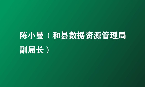 陈小曼（和县数据资源管理局副局长）