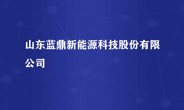 山东蓝鼎新能源科技股份有限公司