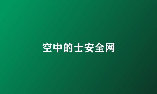 空中的士安全网