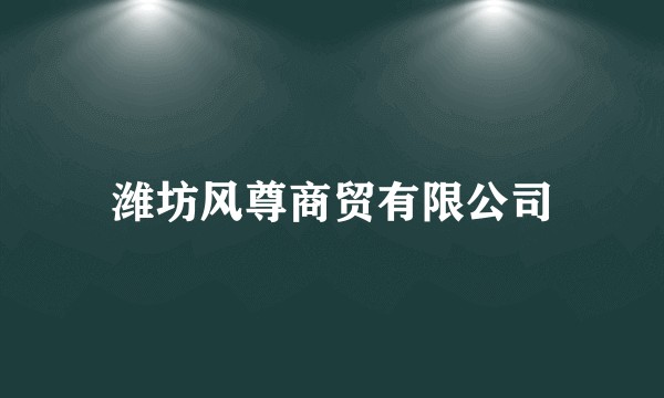潍坊风尊商贸有限公司