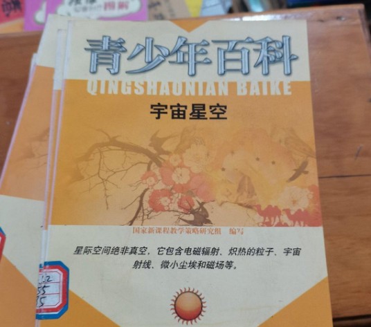宇宙星空（2007年新疆青少年出版社出版的图书）