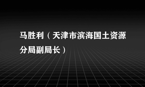 马胜利(天津市滨海国土资源分局副局长)