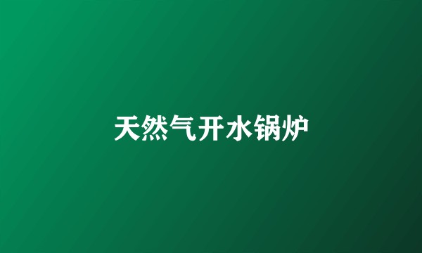 天然气开水锅炉