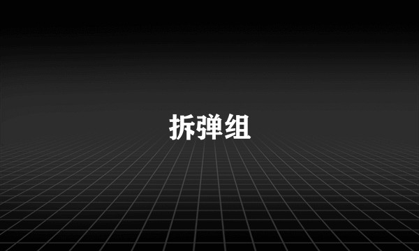 拆弹组