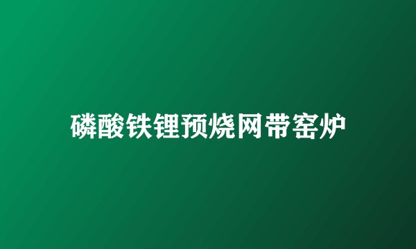 磷酸铁锂预烧网带窑炉