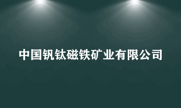 中国钒钛磁铁矿业有限公司