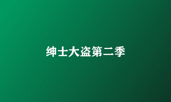 绅士大盗第二季