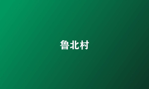 鲁北村