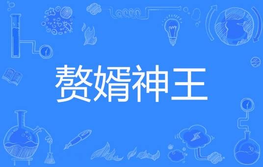 赘婿神王