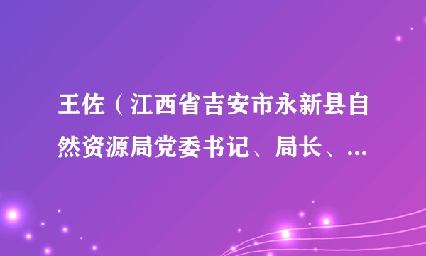 王佐（江西省吉安市永新县自然资源局党委书记、局长、四级调研员）