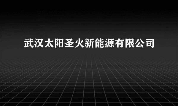 武汉太阳圣火新能源有限公司