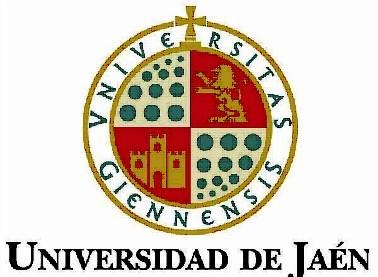 哈恩大学