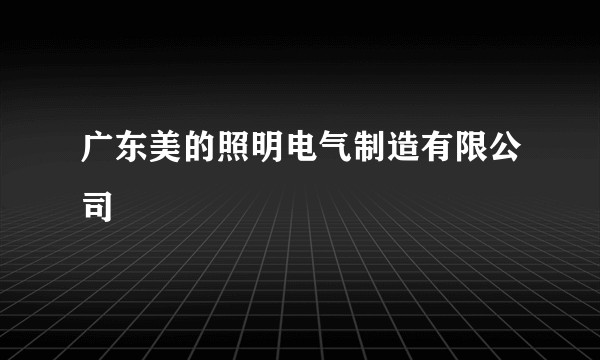 广东美的照明电气制造有限公司