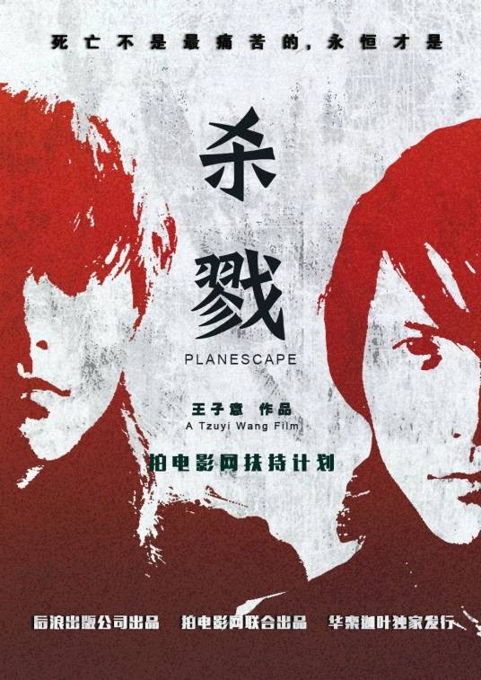 杀戮(2015年王子意执导的悬疑电影)