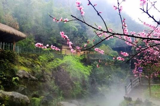 桃花源（重庆市永川区的国家3A级旅游景区）