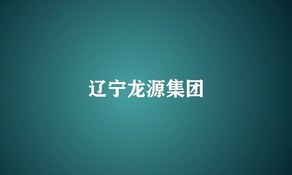 辽宁龙源集团