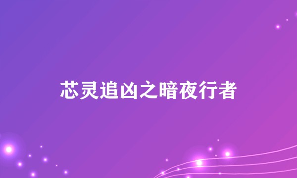 芯灵追凶之暗夜行者