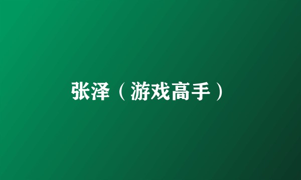 张泽（游戏高手）