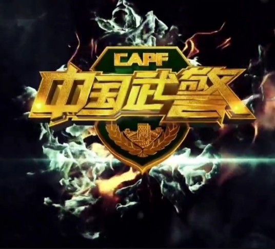 中国武警(原中央电视台军事·农业频道军事节目)