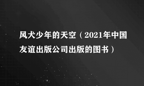 风犬少年的天空（2021年中国友谊出版公司出版的图书）