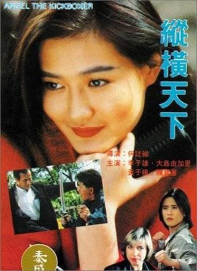纵横天下(美国1992年何志强执导的动作电影)