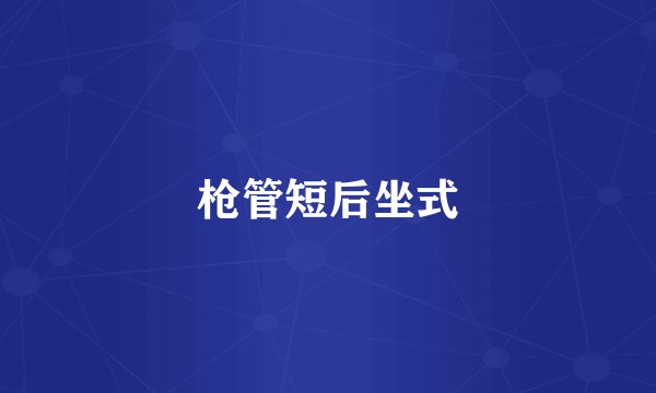 枪管短后坐式