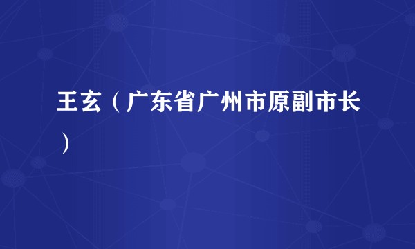 王玄（广东省广州市原副市长）