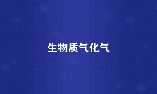 生物质气化气