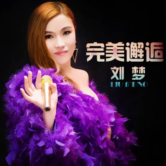完美邂逅(刘梦演唱歌曲)