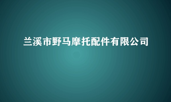 兰溪市野马摩托配件有限公司