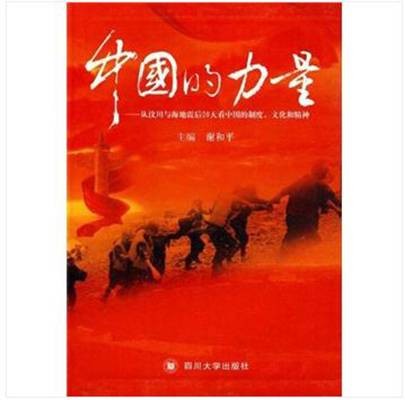 中国力量（2010年四川大学出版社出版的图书）