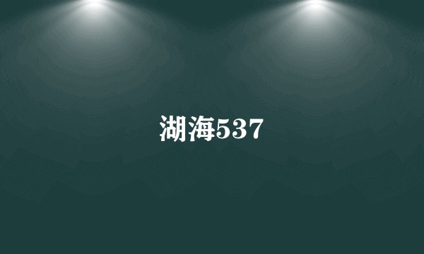 湖海537