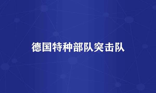 德国特种部队突击队