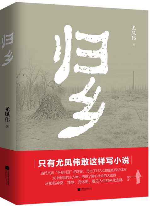 归乡(江苏凤凰文艺出版社2018年10月出版的书籍)