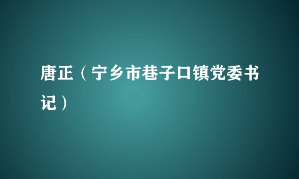唐正（宁乡市巷子口镇党委书记）