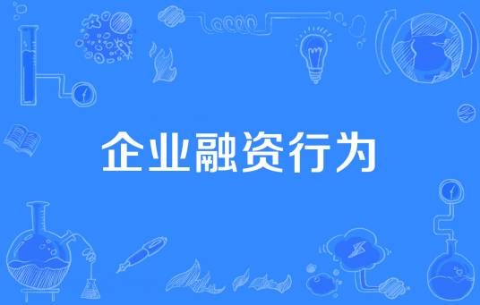 企业融资行为