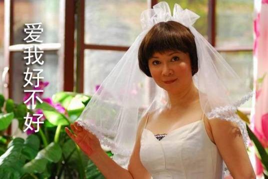 爱我好不好(2009年天津电视台电视剧制作中心制作电视剧)