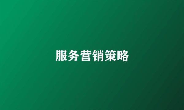 服务营销策略