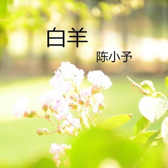 我站在桥上看风景（陈小予演唱歌曲）