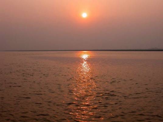 河南新乡黄河湿地鸟类国家级自然保护区