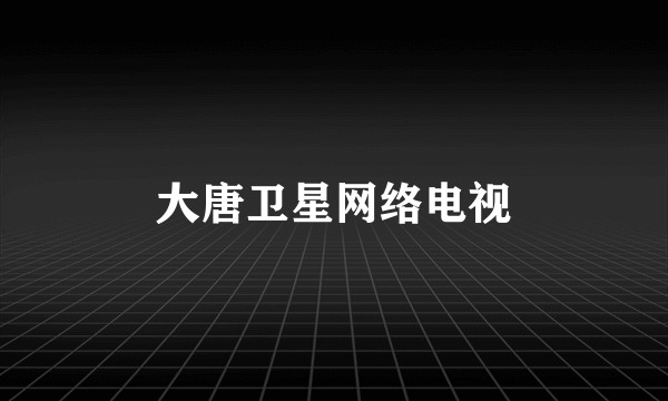 大唐卫星网络电视