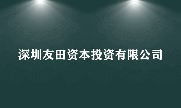 深圳友田资本投资有限公司