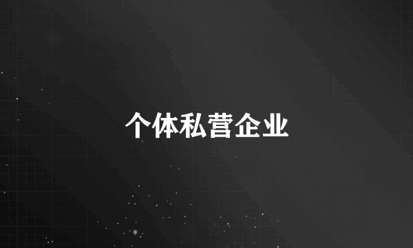 个体私营企业