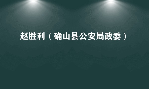 赵胜利（确山县公安局政委）